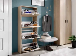 Clearance MODELO CREGAN Zapateros