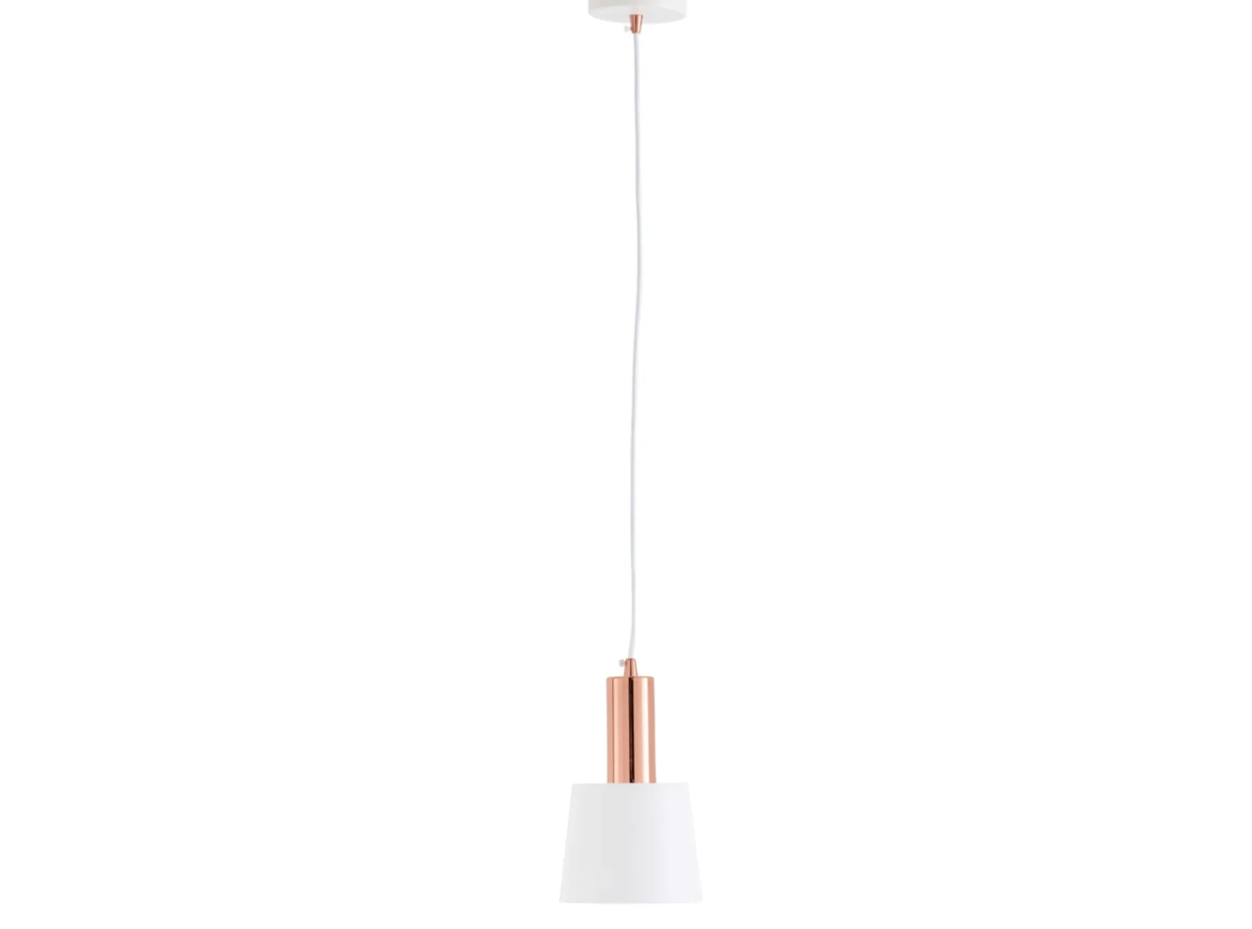 New MODELO MONEUS Decoración|Decoración