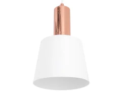 New MODELO MONEUS Decoración|Decoración