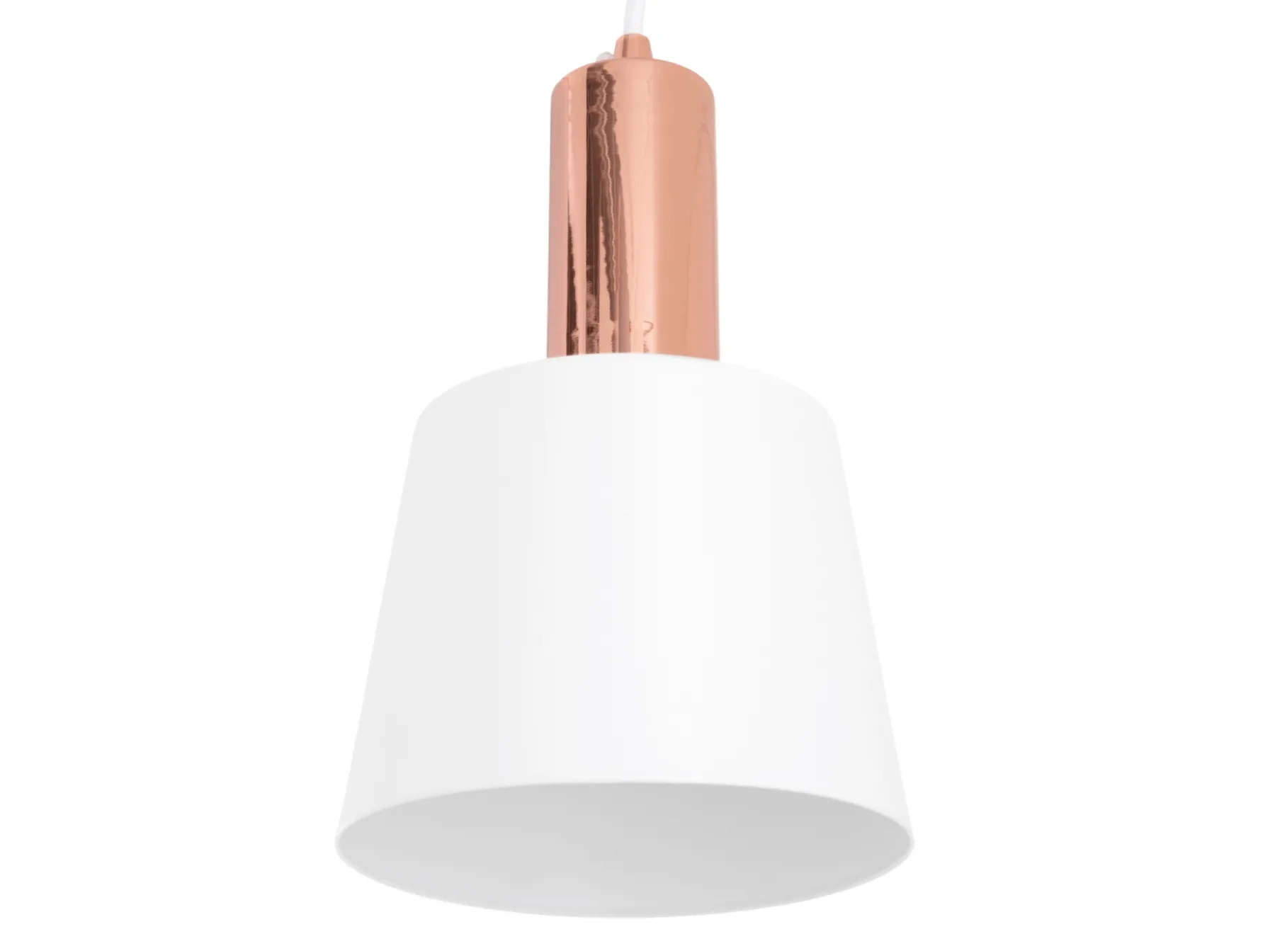 New MODELO MONEUS Decoración|Decoración